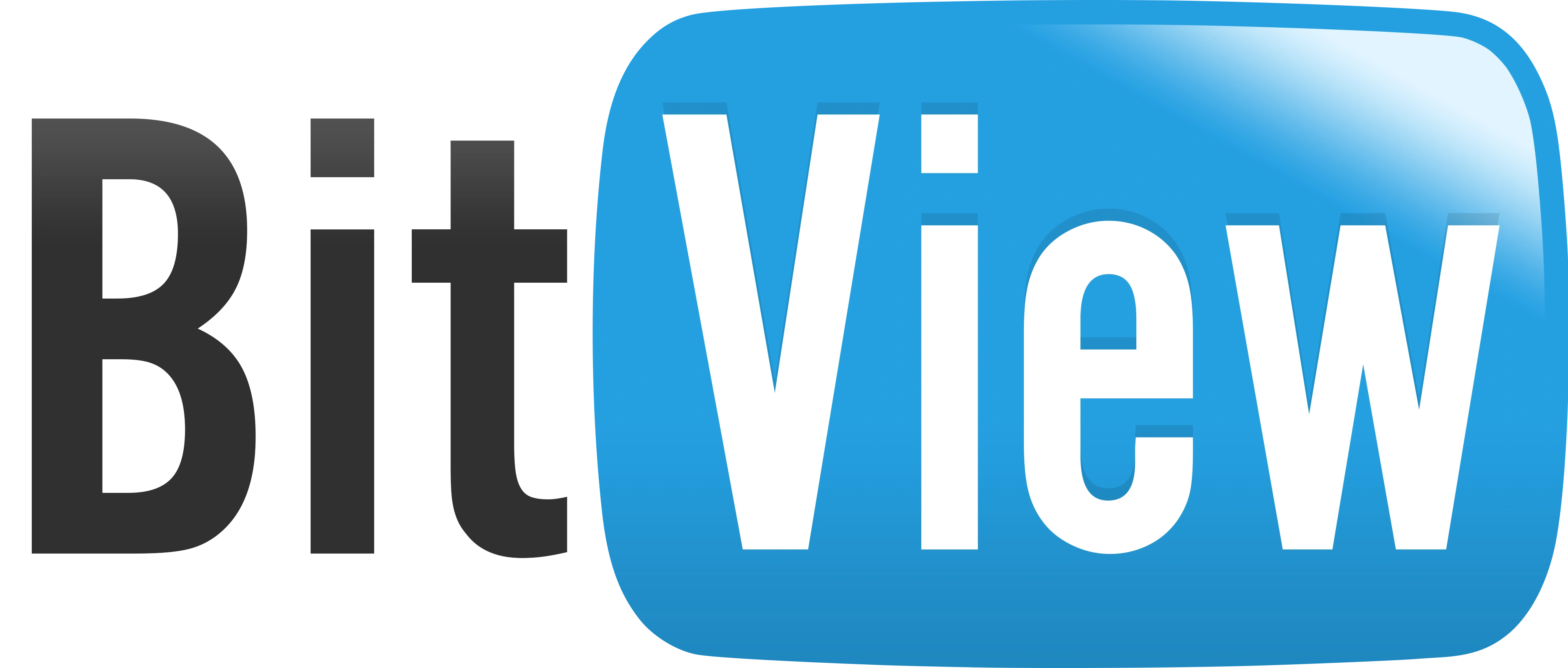 BitView Logo